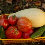 allotment benefits