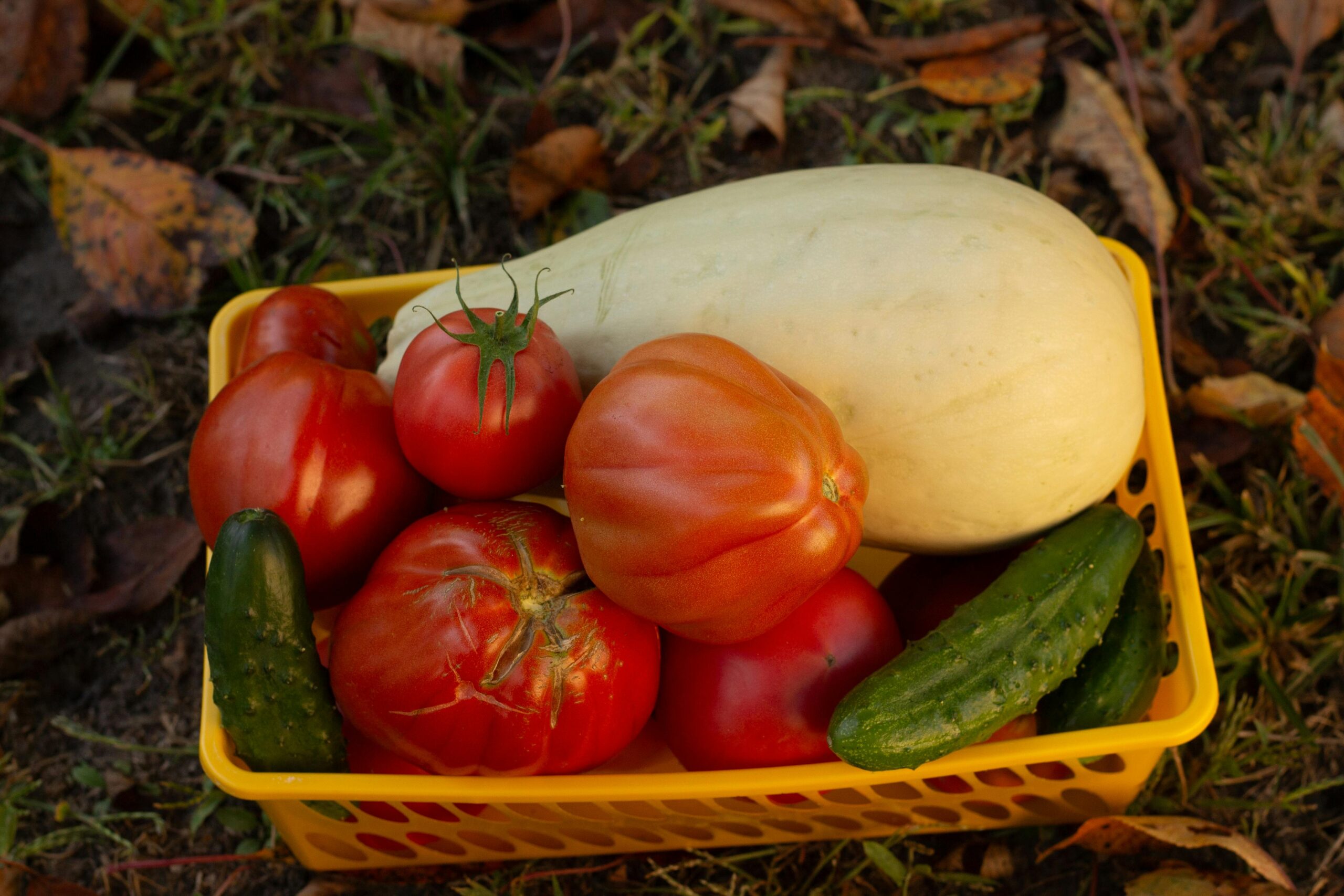 allotment benefits